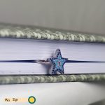 انگشتر 11122057